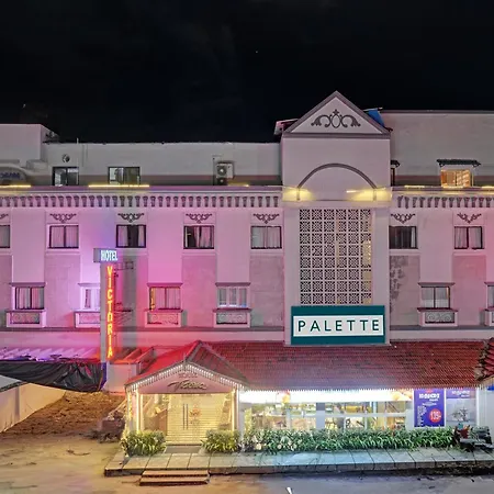 Oyo Palette - Hotel Victoria-2